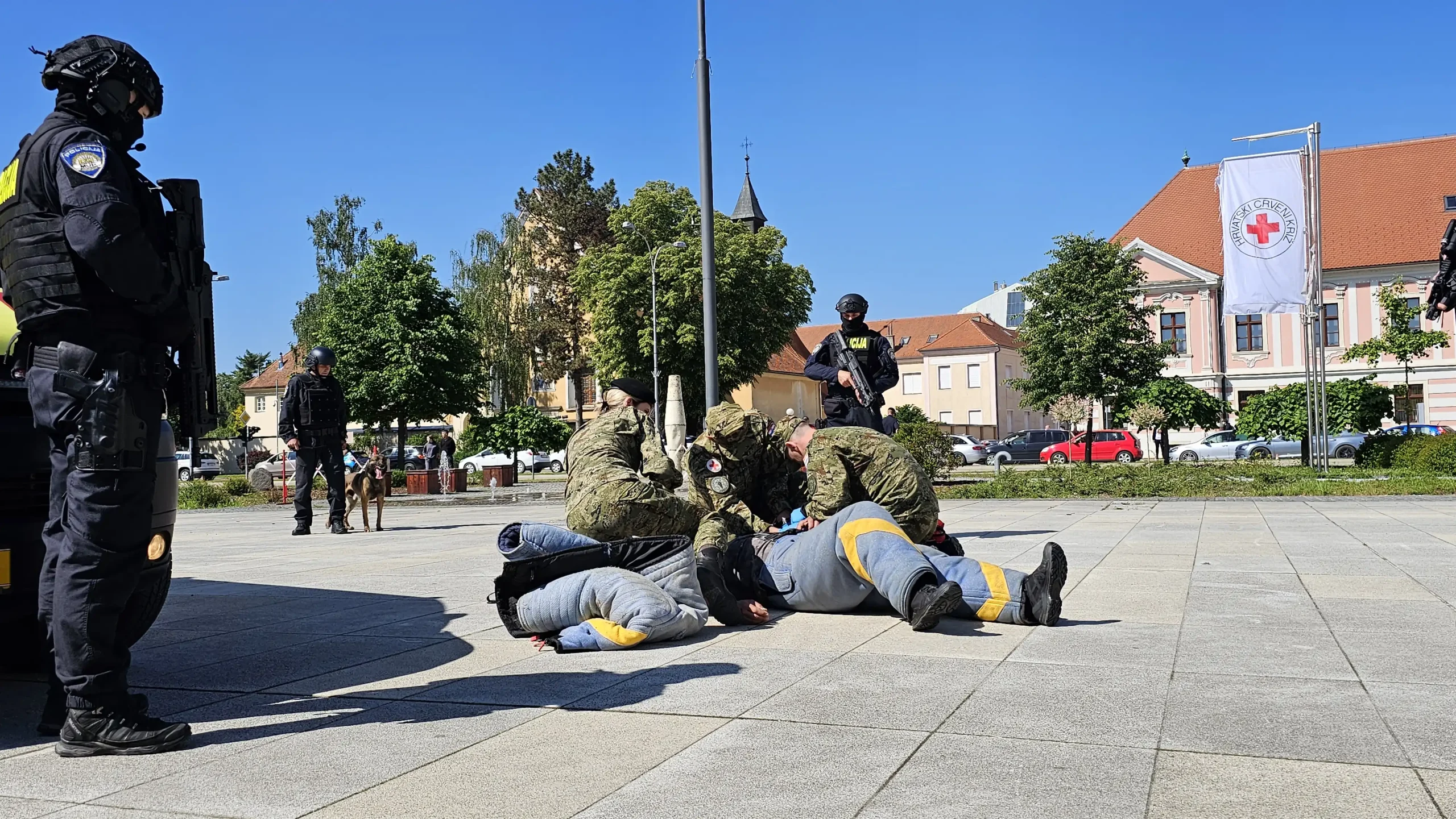 20240510_100631 20240510_100631