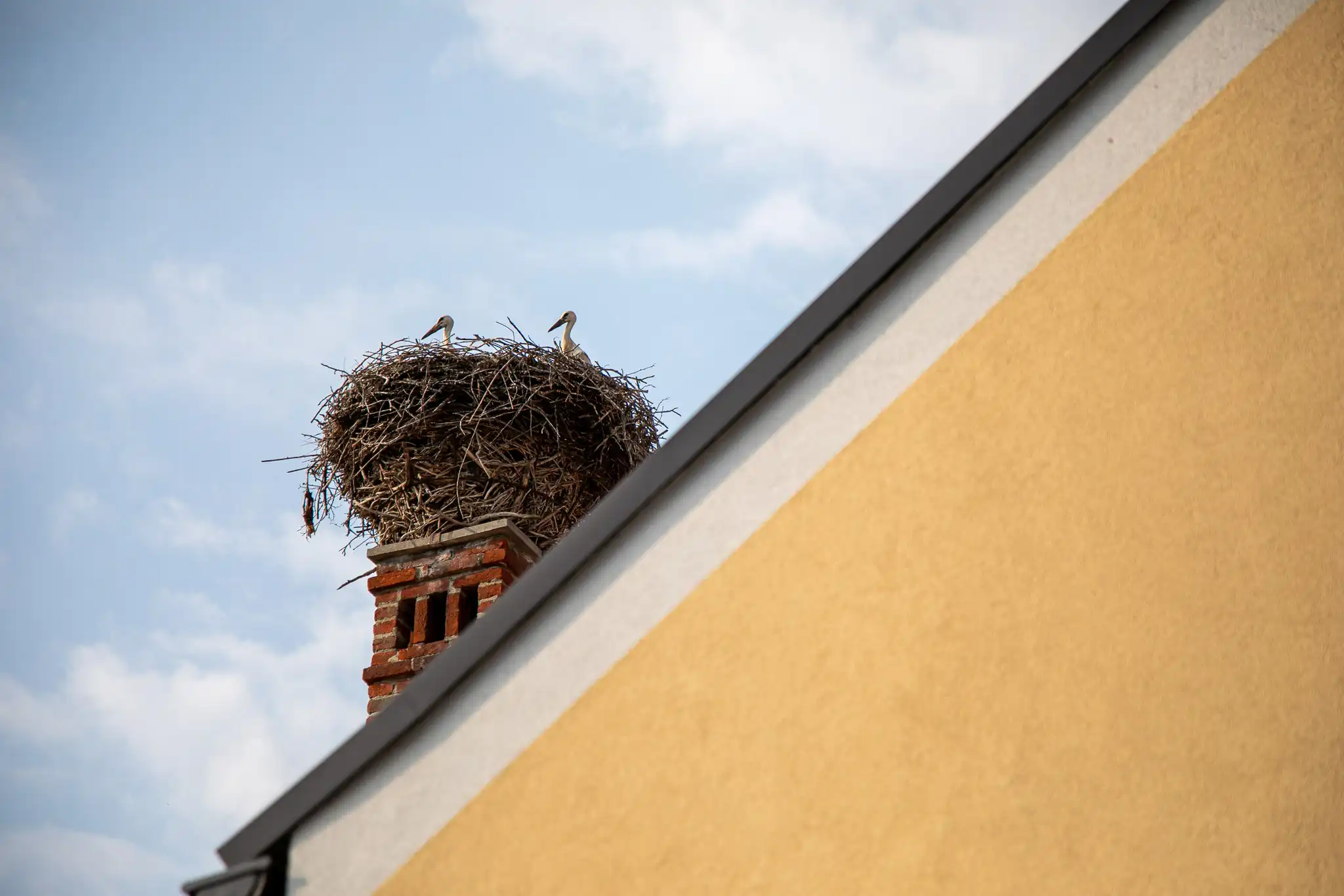 20240719-08_22_20__ZVMK1248 20240719-08_22_20__ZVMK1248