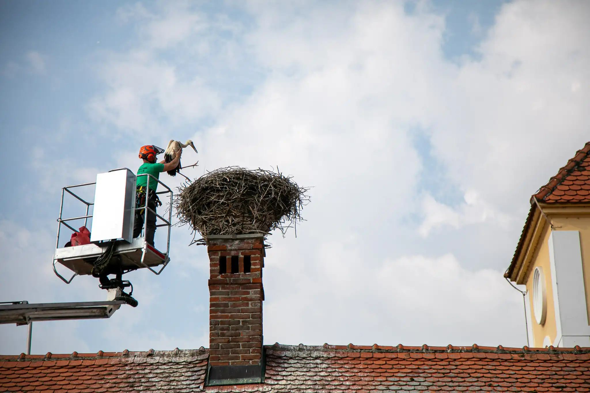 20240719-08_27_23__ZVMK1360 20240719-08_27_23__ZVMK1360