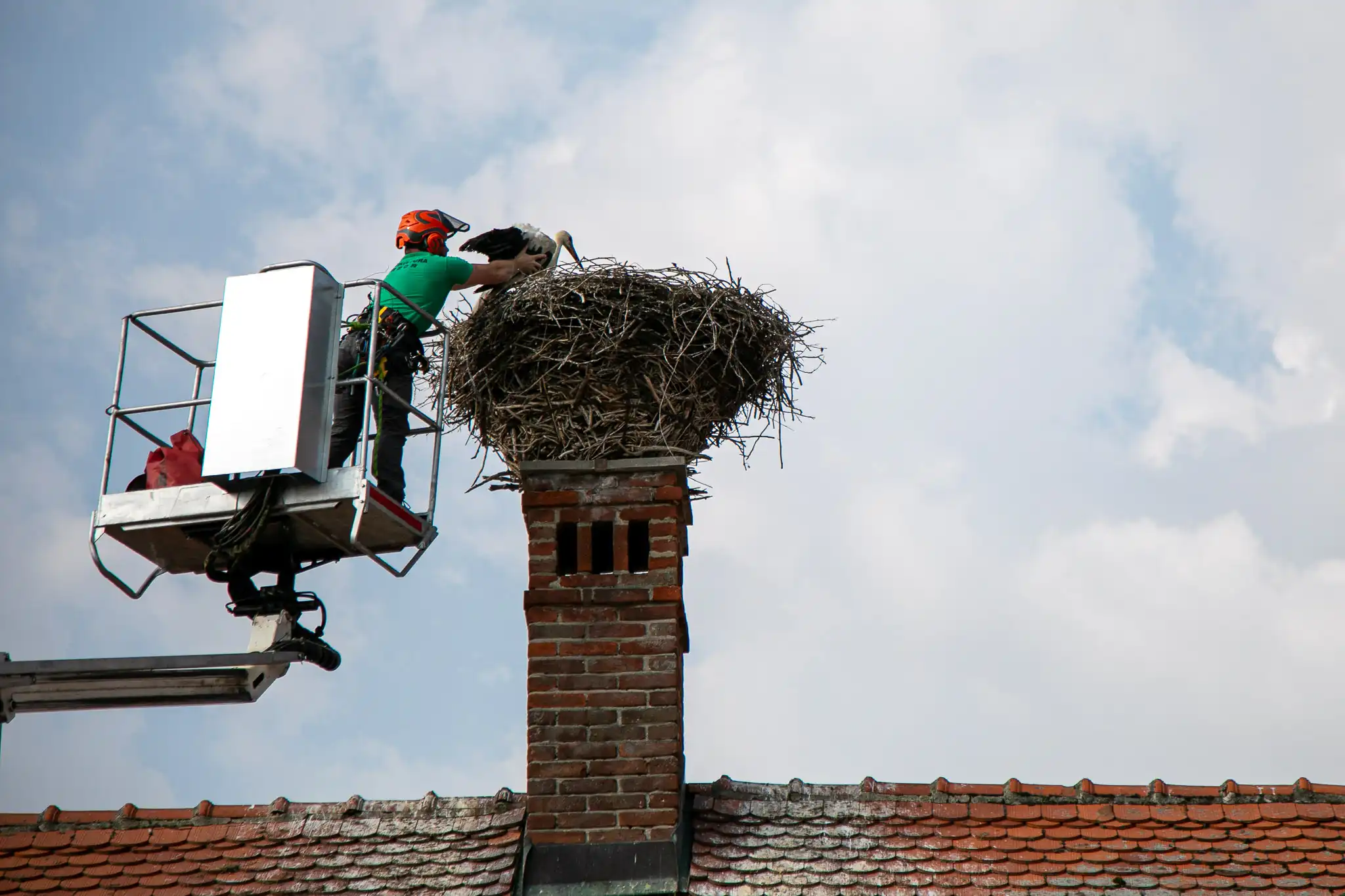 20240719-08_27_25__ZVMK1368 20240719-08_27_25__ZVMK1368