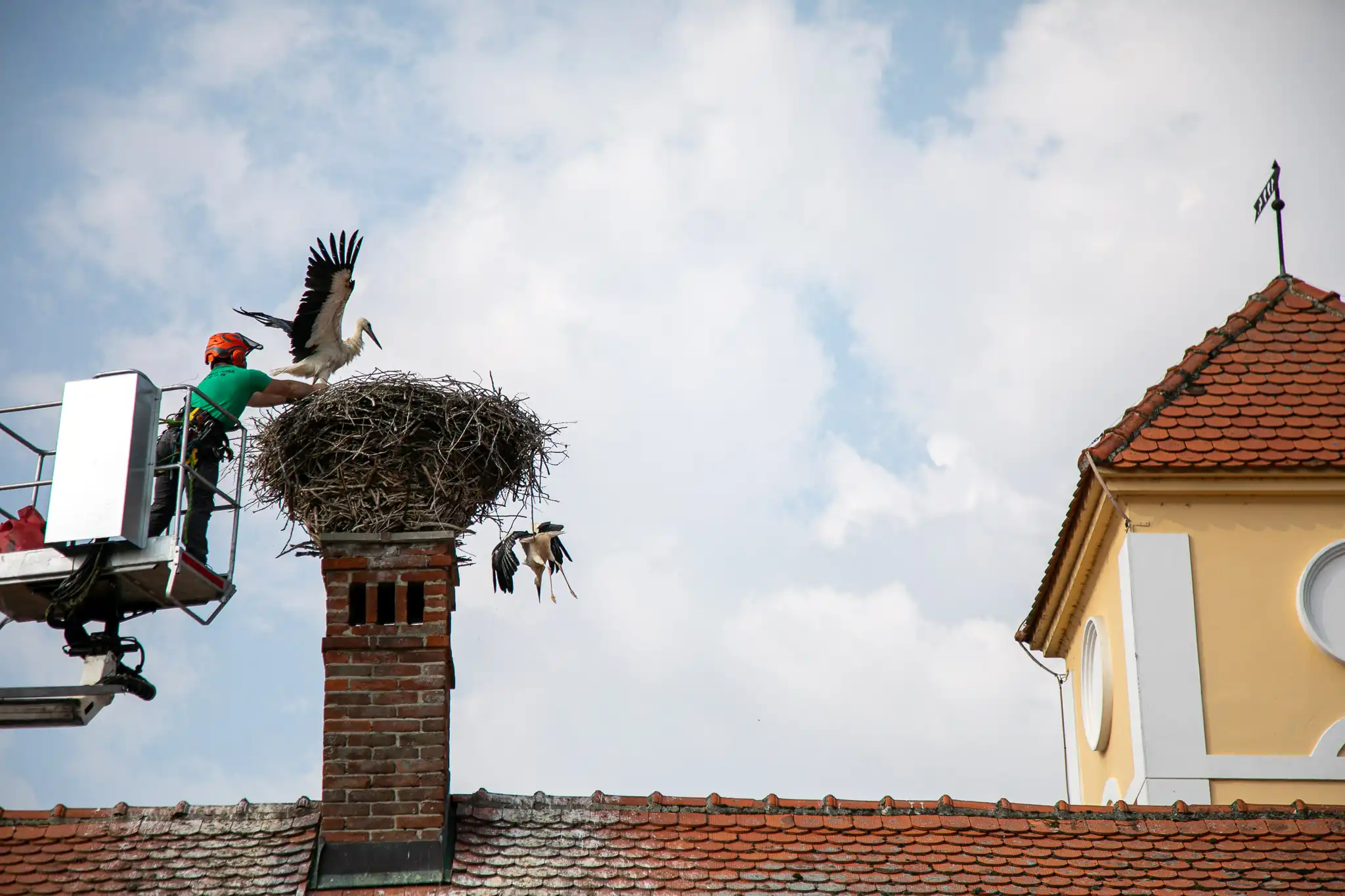 20240719-08_27_27__ZVMK1376 20240719-08_27_27__ZVMK1376