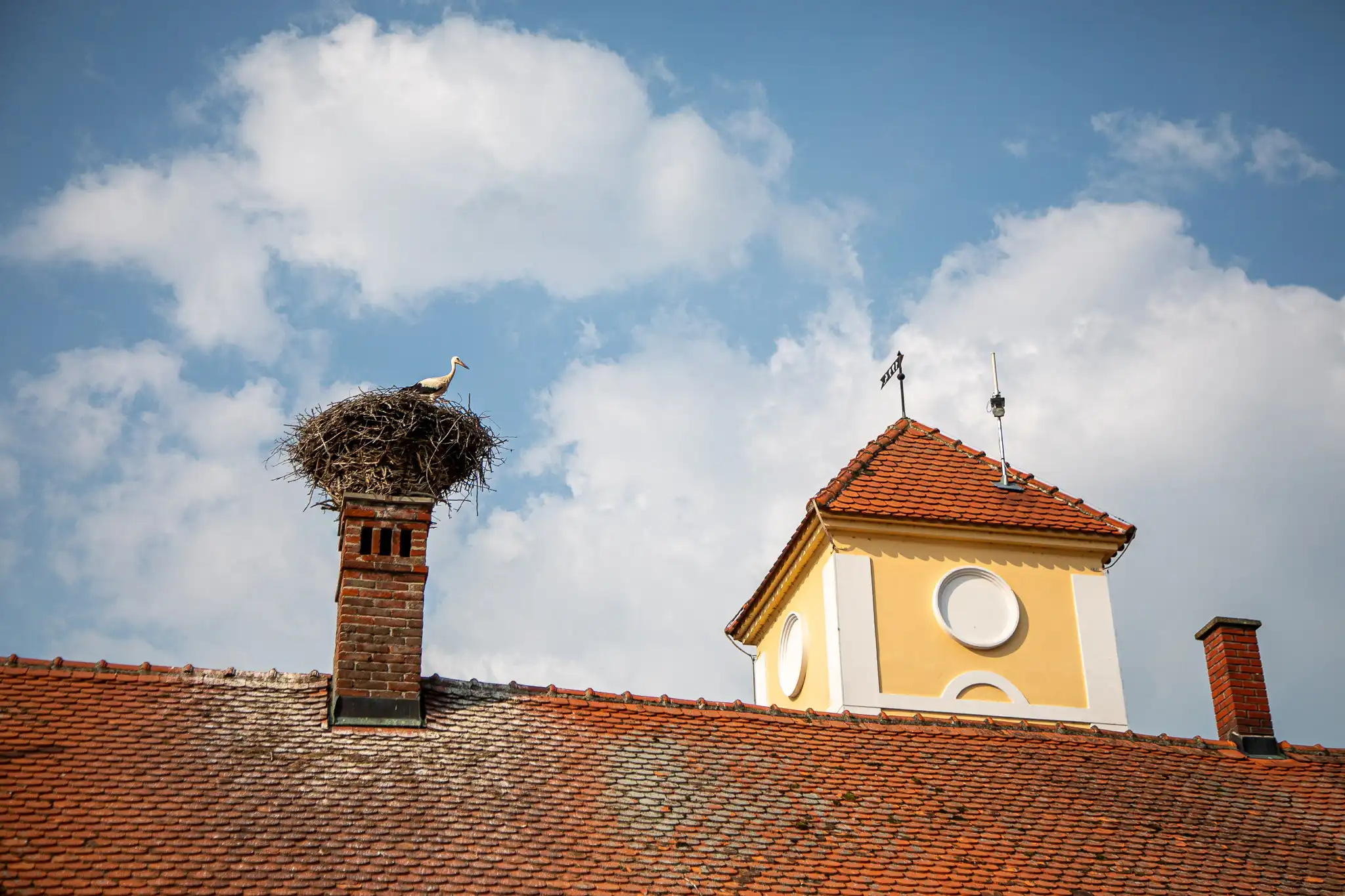 20240719-08_29_06__ZVMK1391 20240719-08_29_06__ZVMK1391