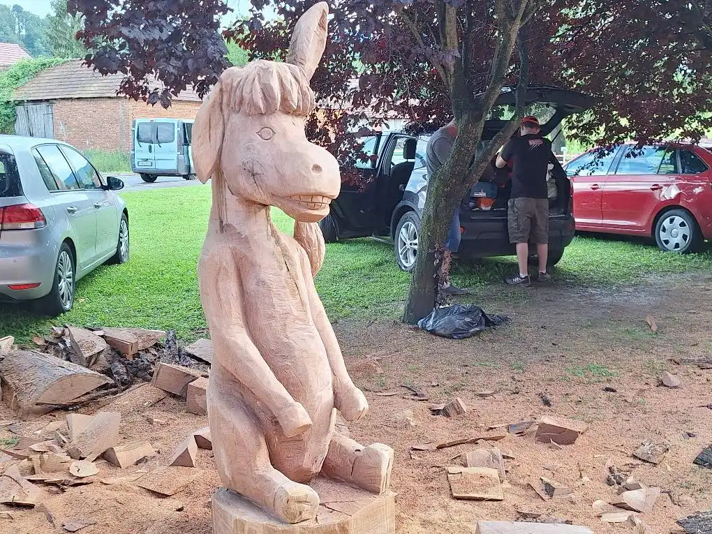 448553136_477797201300480_1253473920358491553_n