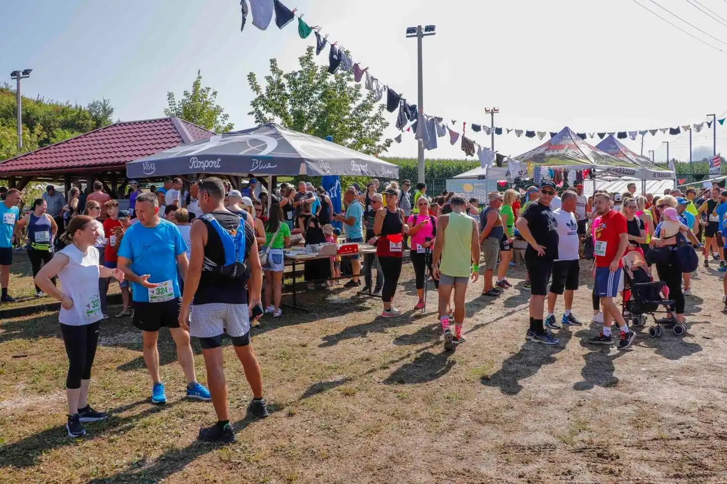 452476687_498027069277493_420248140378121773_n