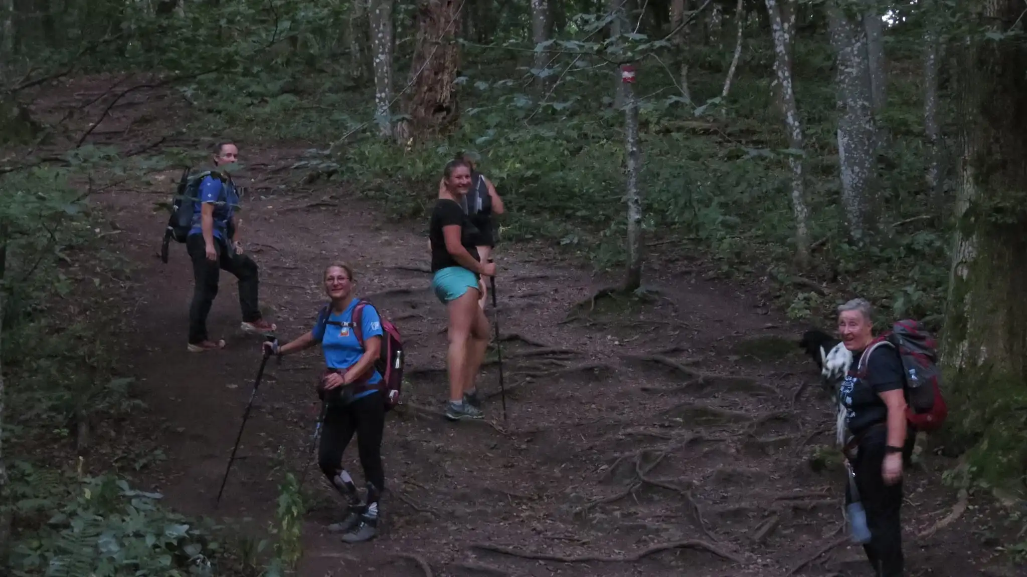 455092970_509862108093989_3469426013404181351_n 455092970_509862108093989_3469426013404181351_n