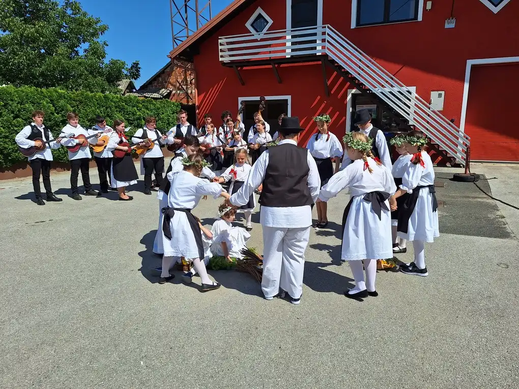 Festival Vidovečkog gibanika (14)