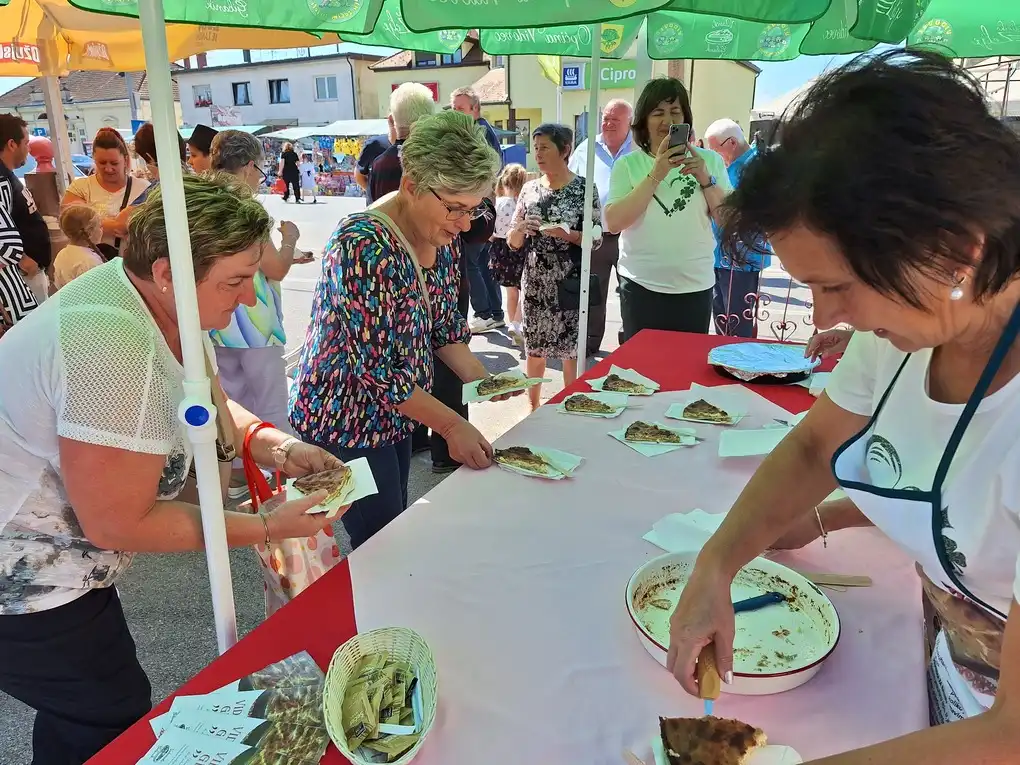 Festival Vidovečkog gibanika (16)