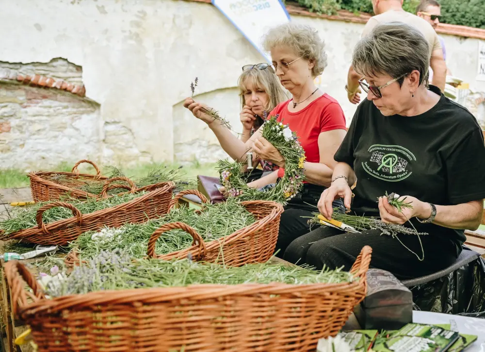 Festival dvorišta FOTO Turistička zajednica grada Varaždina 02