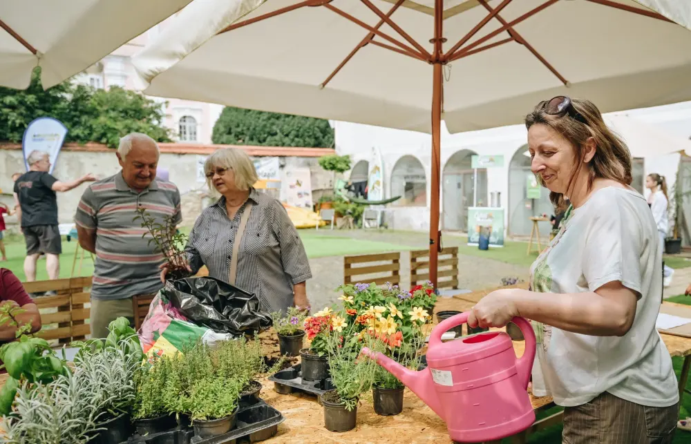 Festival dvorišta FOTO Turistička zajednica grada Varaždina 11