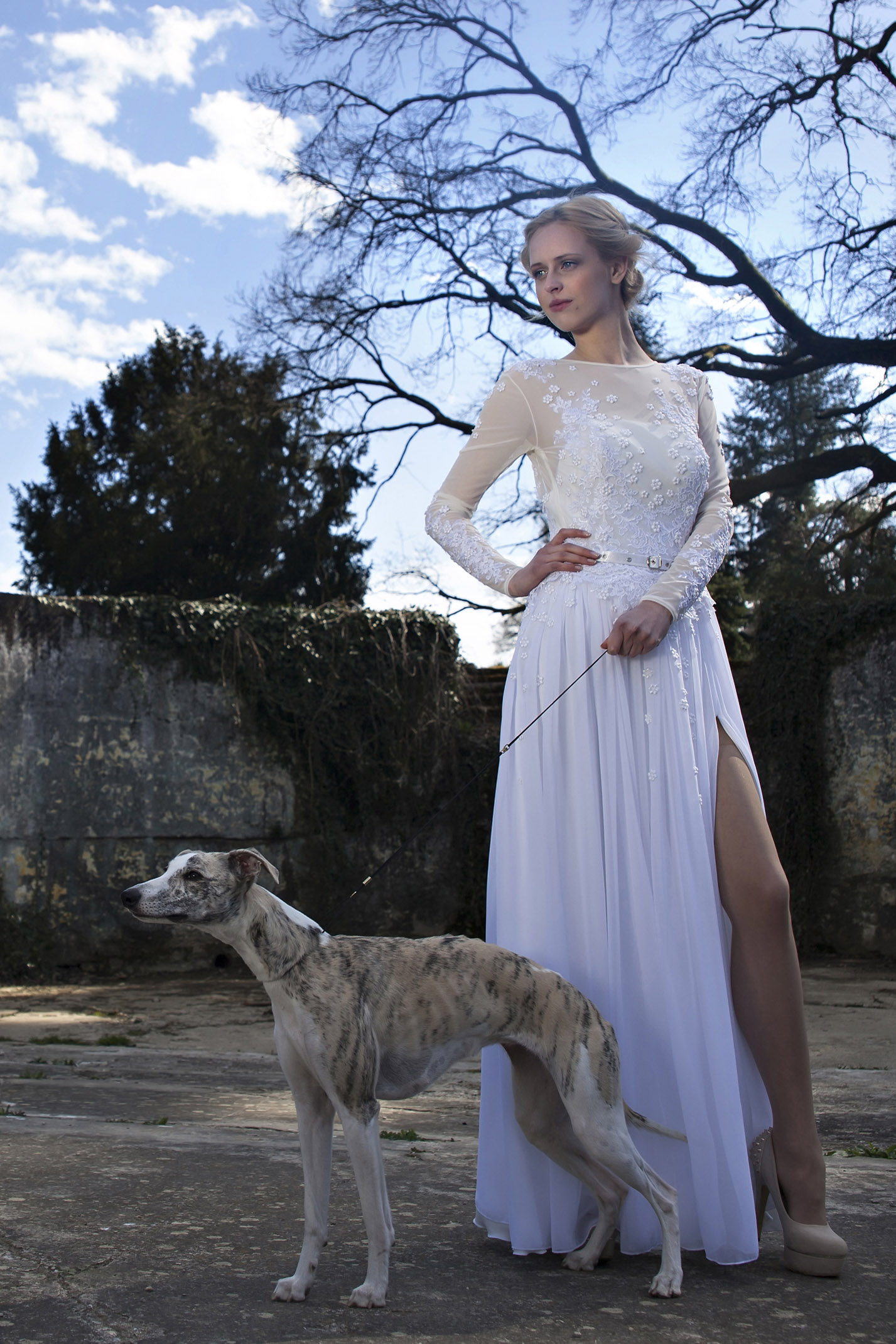 IMG_5867crop IMG_5867crop