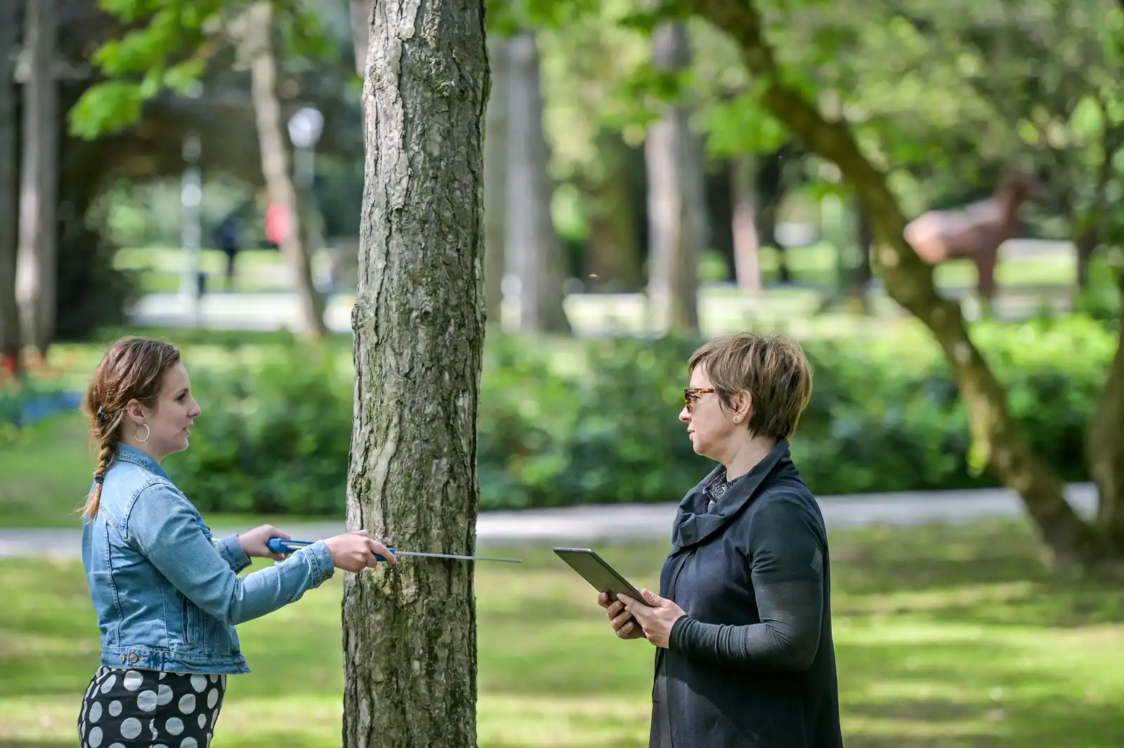 Irena Prilika, magistra inženjerka urbanog šumarstva, zaštite prirode i okoliša i Sonja Kušter, rukovoditeljica radne jedinice Zelene površine