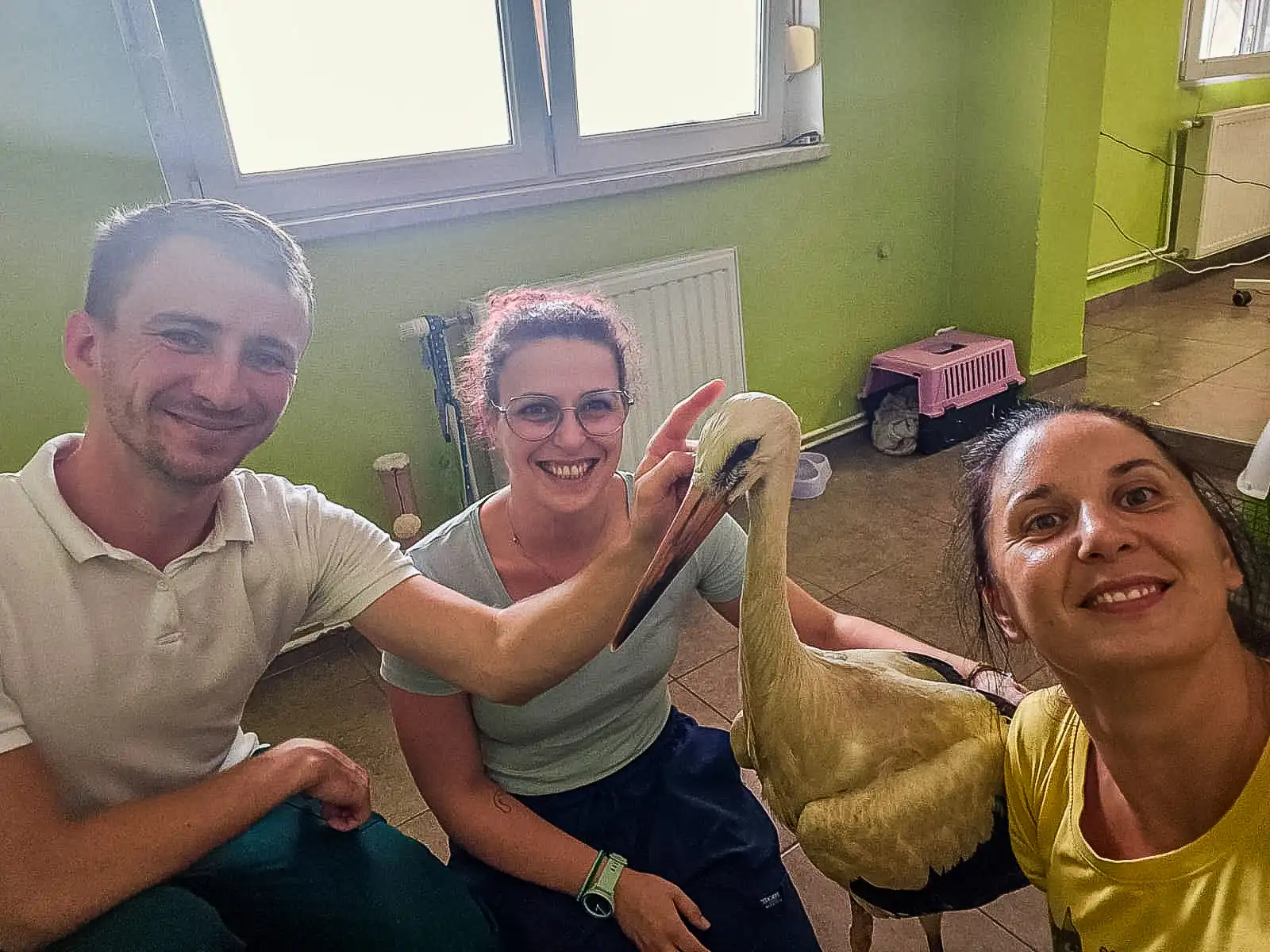 Na oporavku u vet amb Luna Varaždin 20240719-07_54_26__2Untitled Na oporavku u vet amb Luna Varaždin 20240719-07_54_26__2Untitled