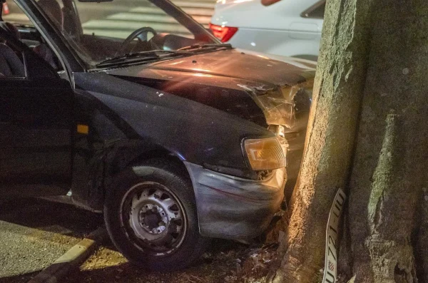 automobil udario u stablo (ilustracija)