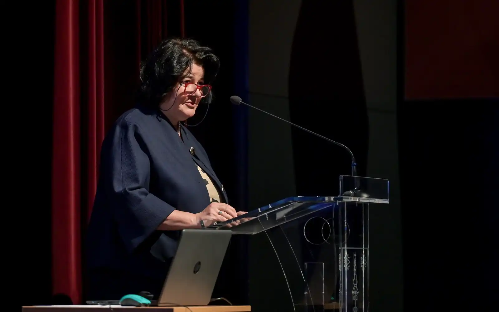 Palijativna_skrb_Novi_Marof (29) Palijativna_skrb_Novi_Marof (29)