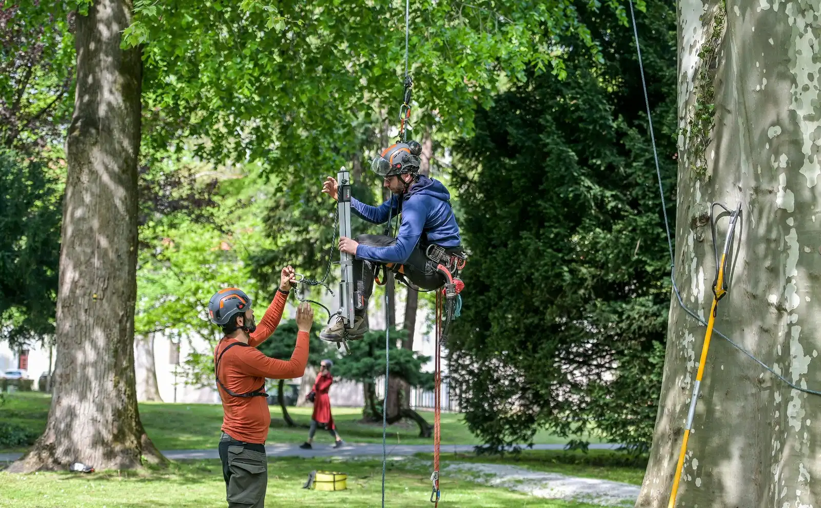 Radovi_na_stablima (12)