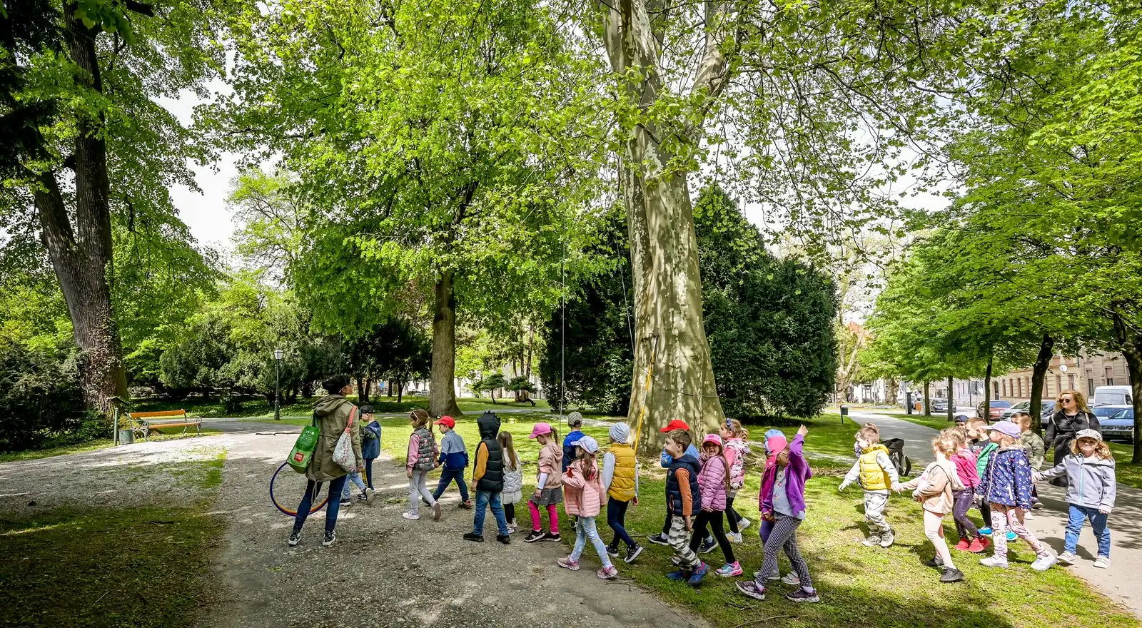 Radovi_na_stablima (44) Radovi_na_stablima (44)