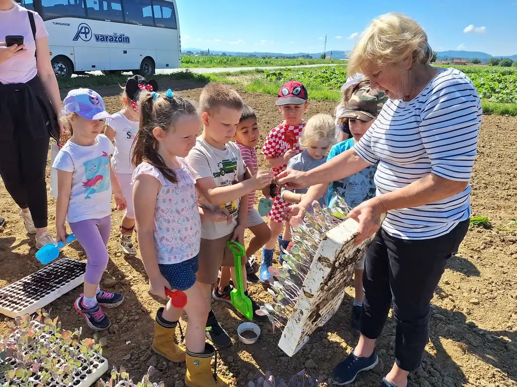 Sadnja Varazdinskog zelja (11) Sadnja Varazdinskog zelja (11)