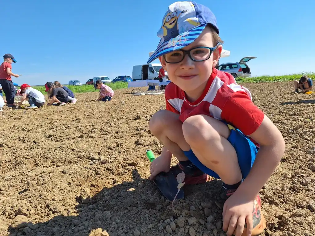 Sadnja Varazdinskog zelja (13) Sadnja Varazdinskog zelja (13)