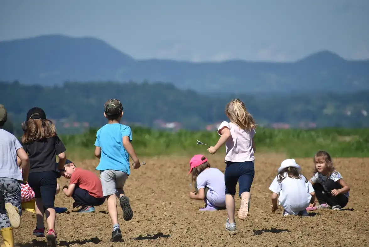 Sadnja Varazdinskog zelja (8) Sadnja Varazdinskog zelja (8)