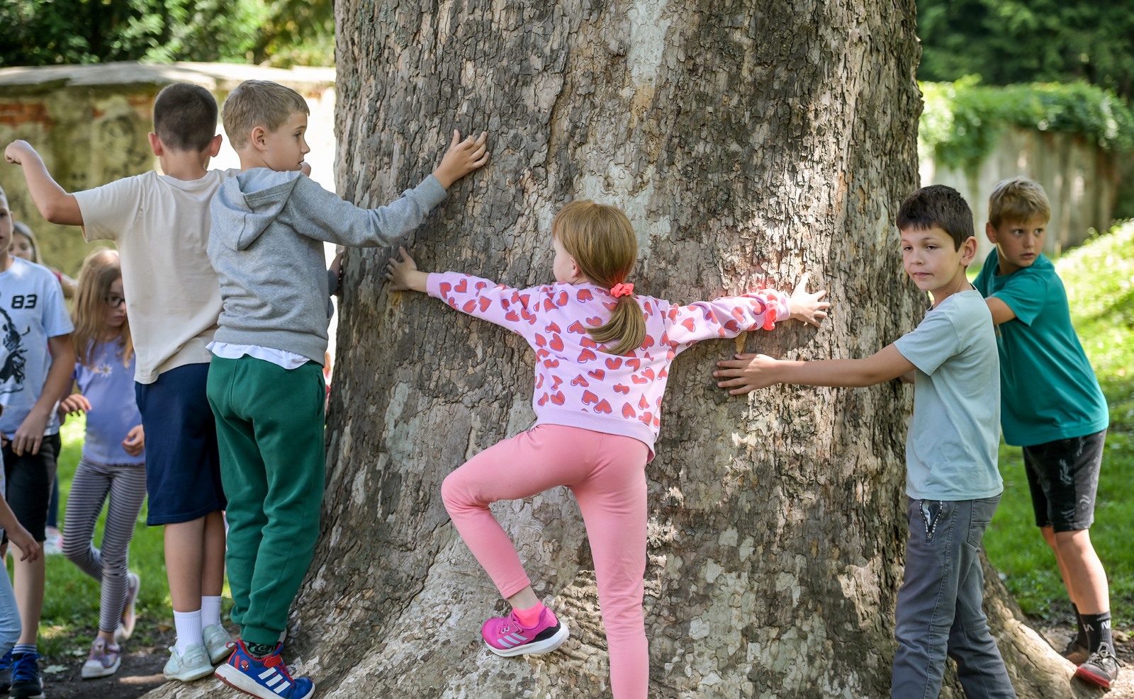 Stablo godine – foto – Parkovi (1)