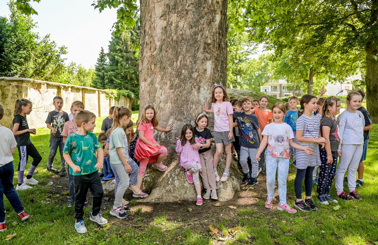 Stablo godine – foto – Parkovi (6)