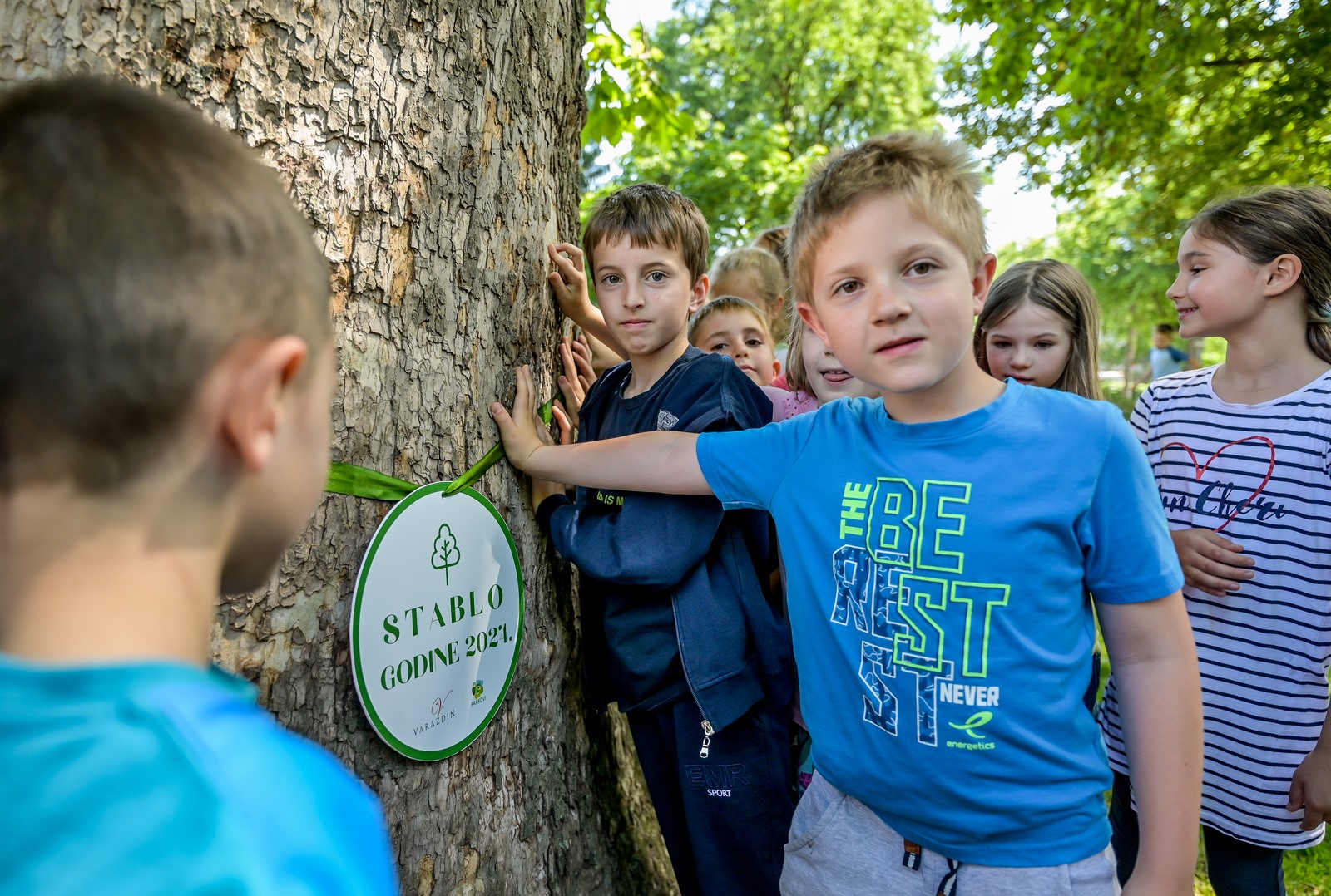 Stablo godine – foto – Parkovi (7)