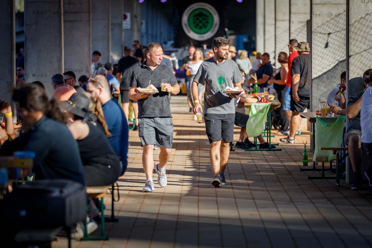 UPS fest 2024 (15)