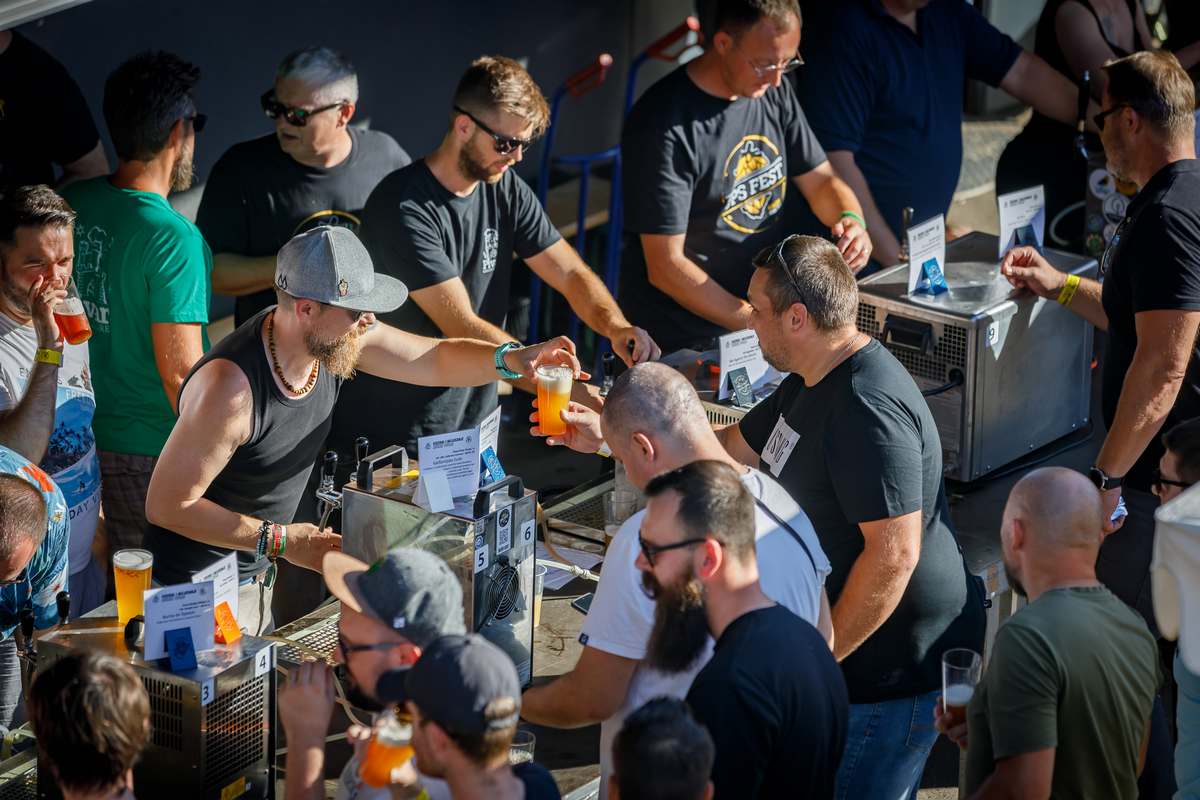 UPS fest 2024 (17)