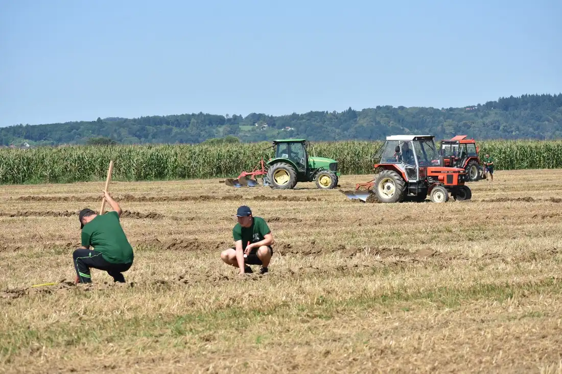 Županijsko natjecanje orača (7)