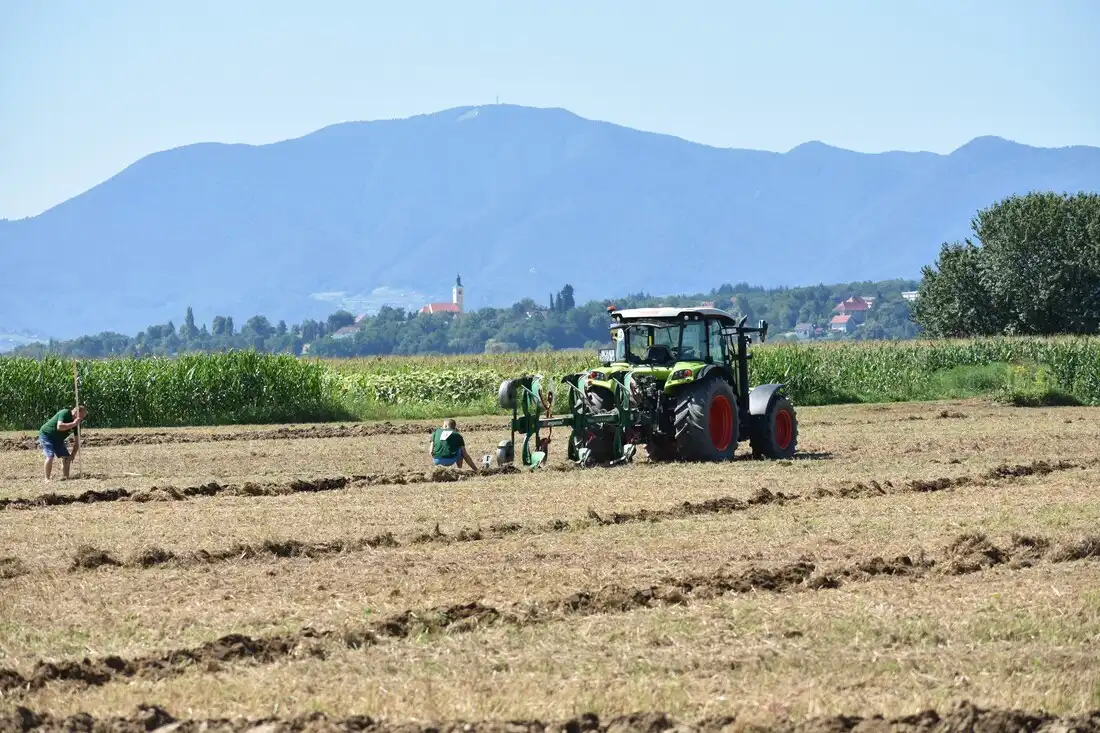 Županijsko natjecanje orača (8)