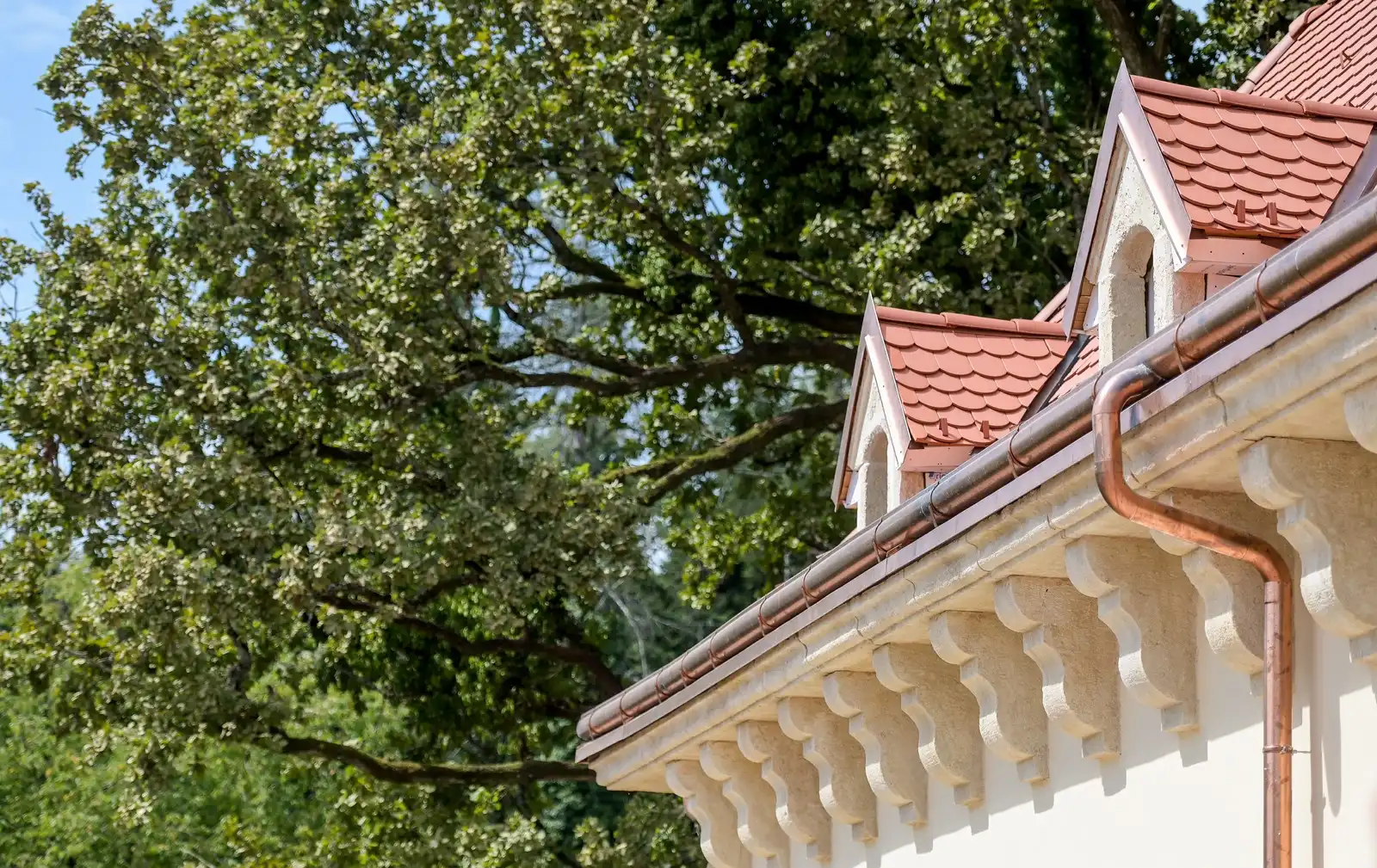 arboretum_opeka_projekt_revitalizacije_2024 (9) arboretum_opeka_projekt_revitalizacije_2024 (9)