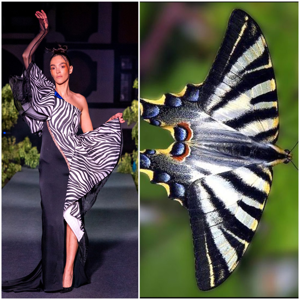 fashion pests (1) fashion pests (1)