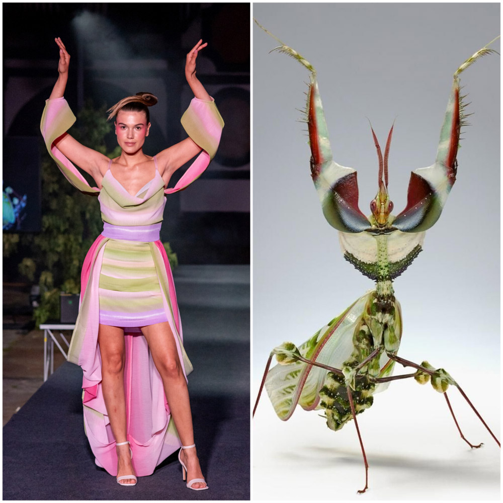 fashion pests (7) fashion pests (7)