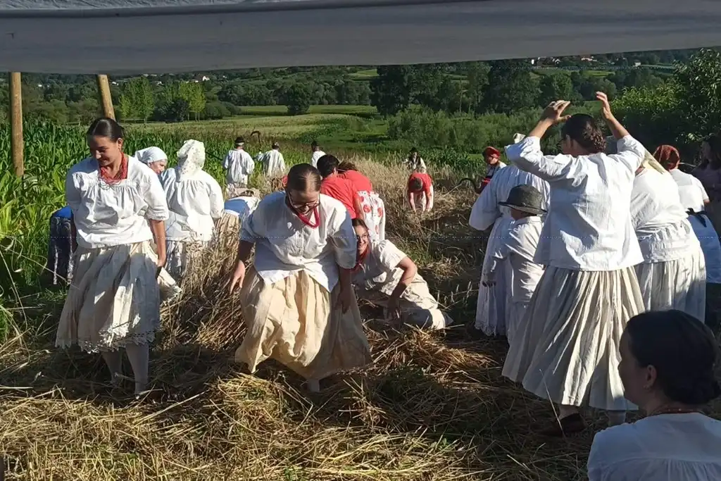 gvt ručna žetva raži (14) gvt ručna žetva raži (14)