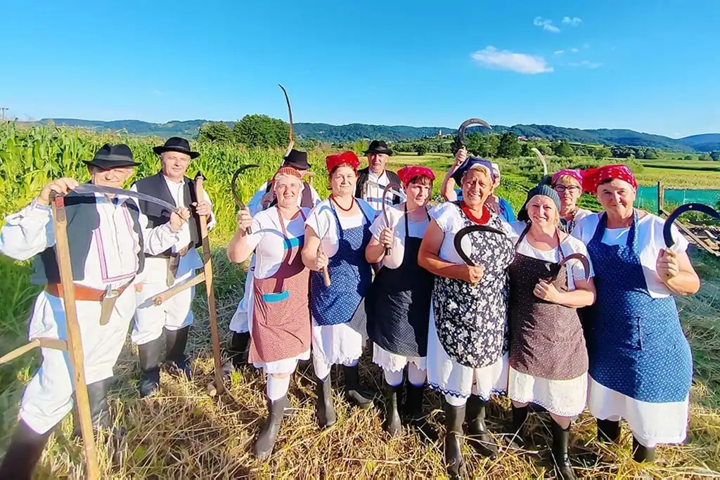 gvt ručna žetva raži (9) gvt ručna žetva raži (9)