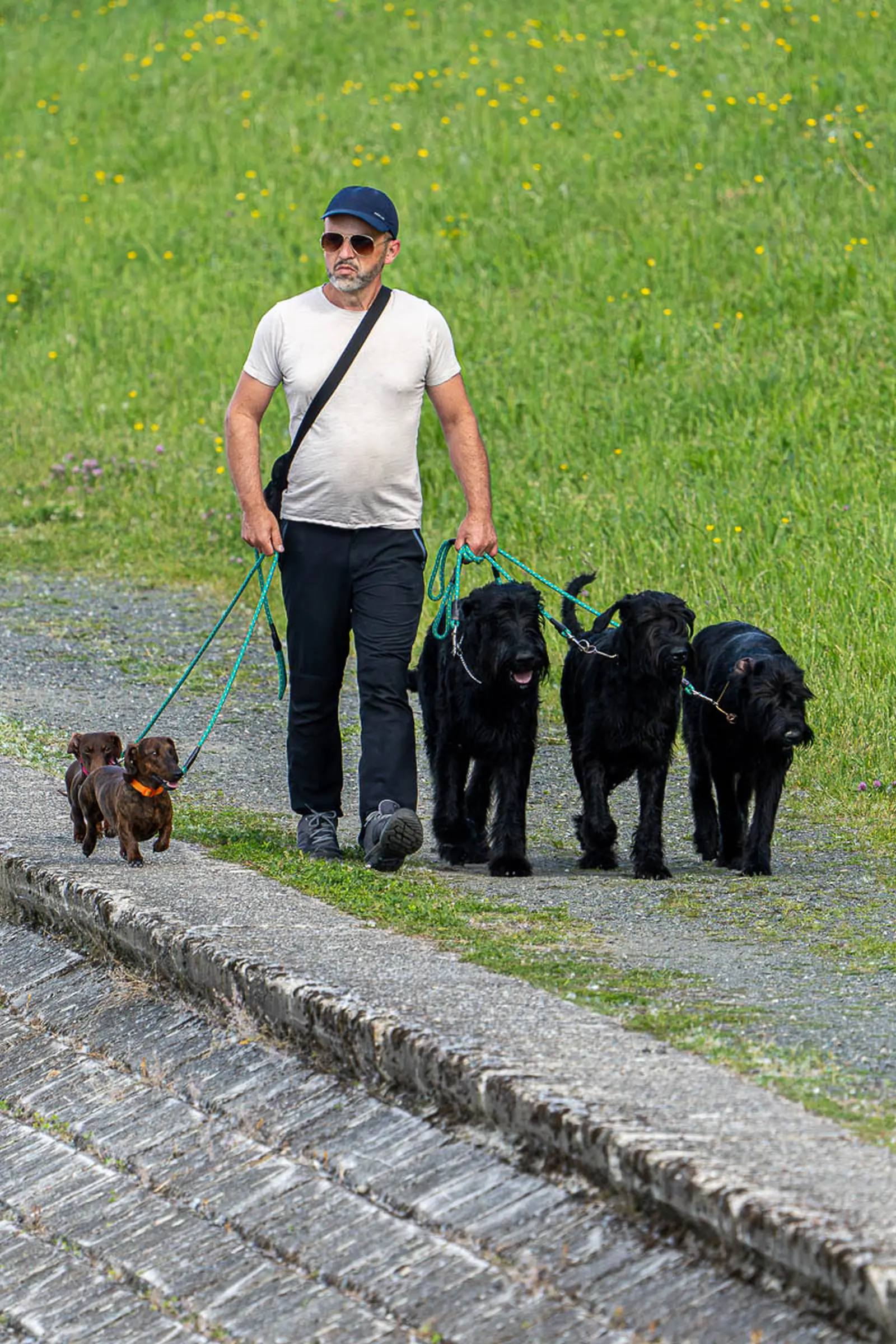 klikom po dravi – foto fran bijelic fb media 24