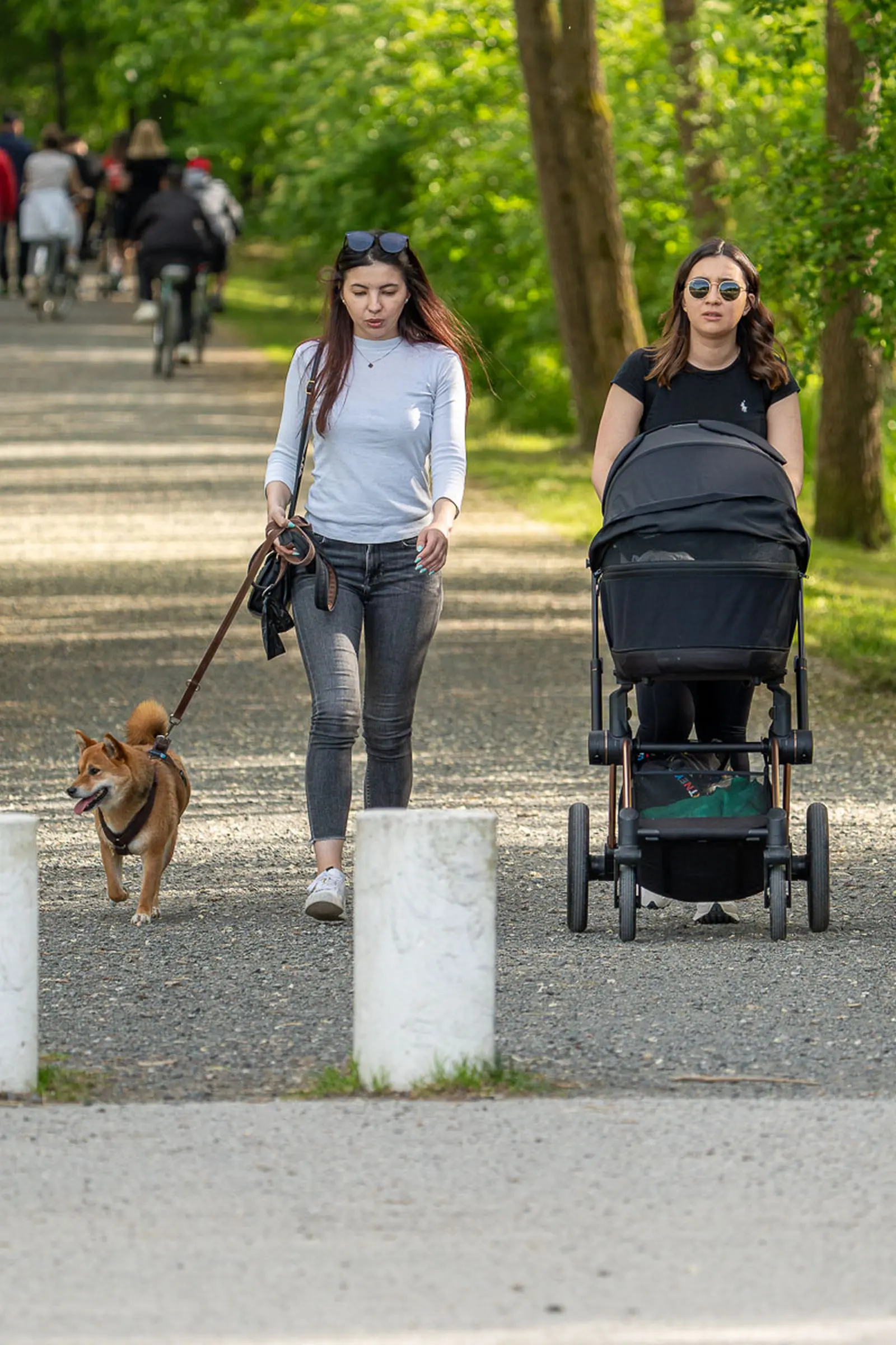 klikom po dravi – foto fran bijelic fbmedia 13 klikom po dravi – foto fran bijelic fbmedia 13