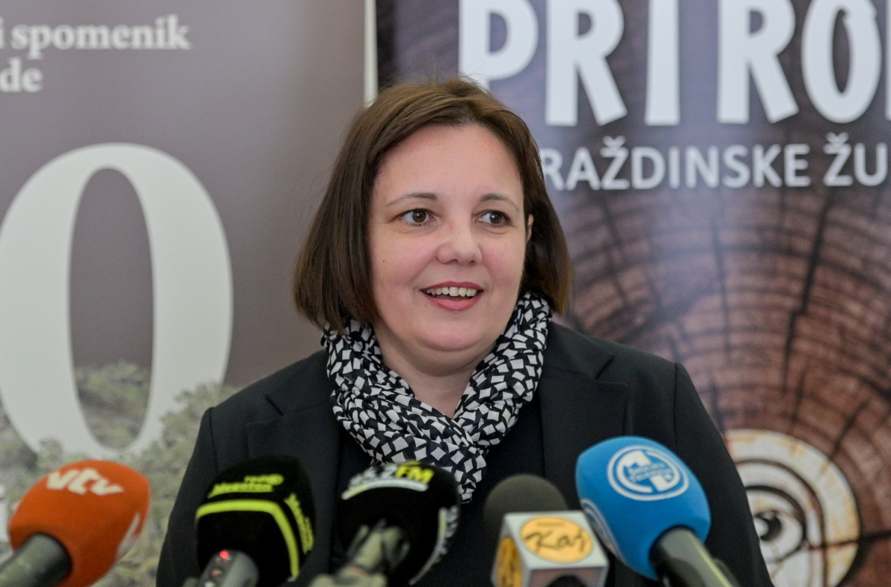 likovni_natjecaj_moj_dozivljaj_spilje_vindije_2024 (12)