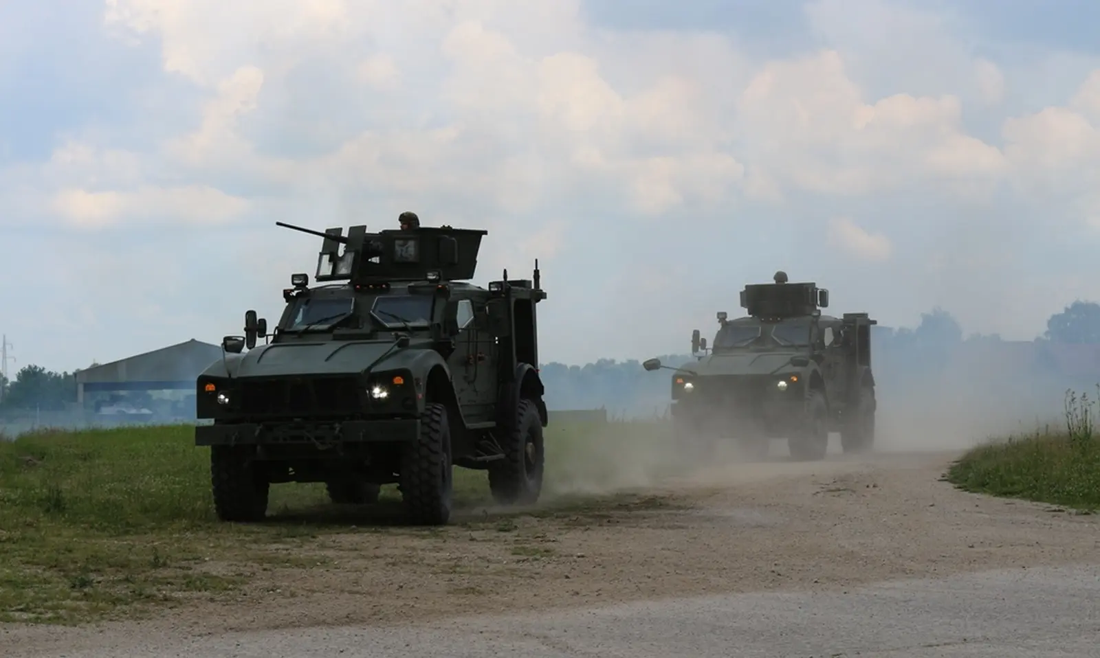 neven bosilj pume puma krunoslav slavinec – grad varazdin 14 neven bosilj pume puma krunoslav slavinec – grad varazdin 14