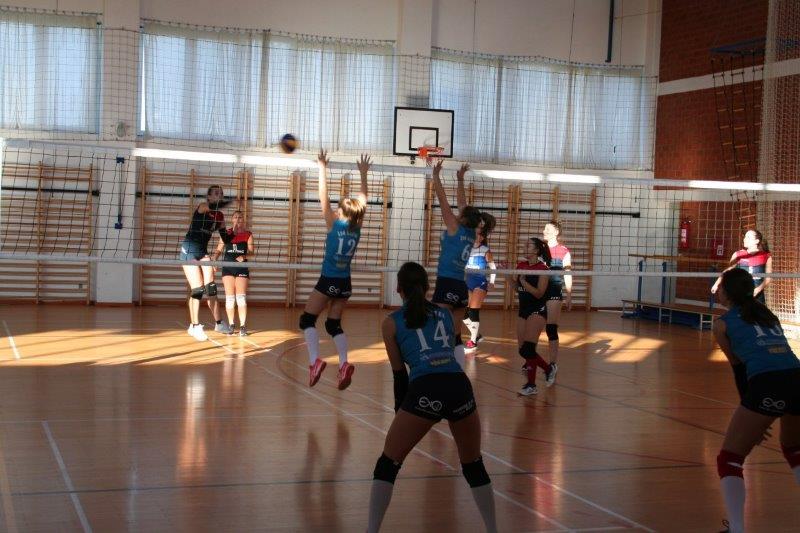 Memorijal Zeljko Sovic Sova