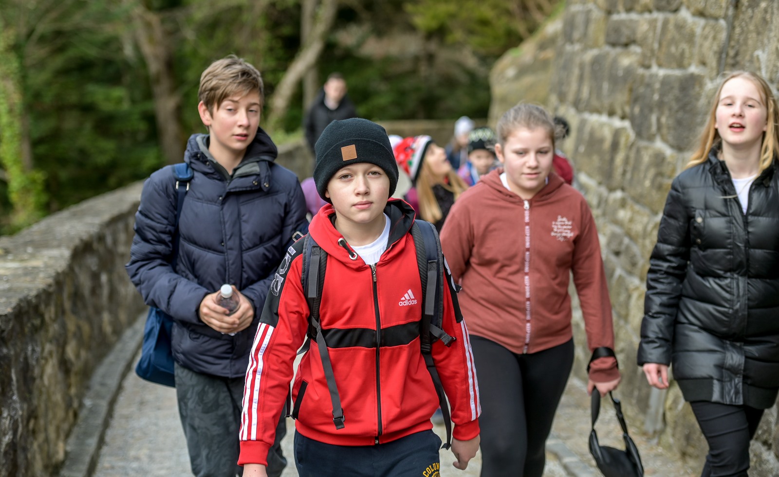 Image 5580871 (auto)