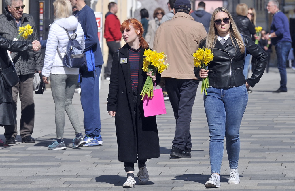 Dan narcisa Dan narcisa