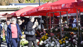 Gradska tržnica Varaždin Gradska tržnica Varaždin
