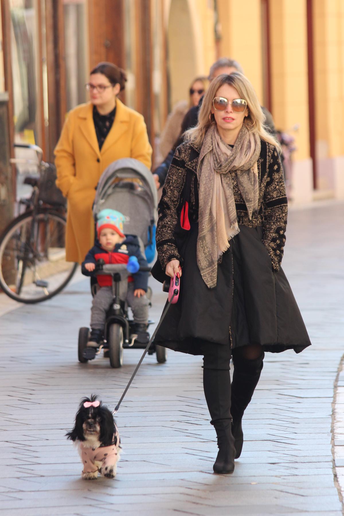 Image 5583145 (auto)