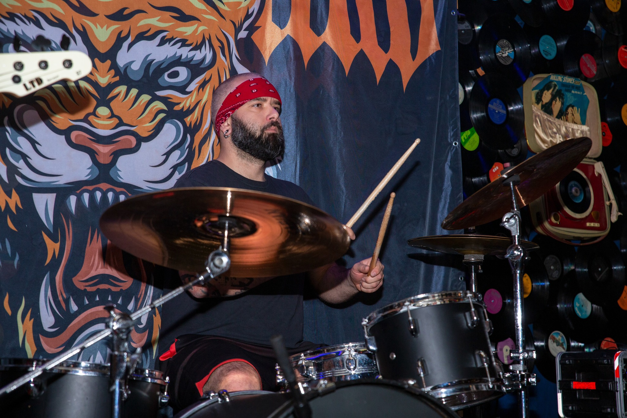 don gatto youth against