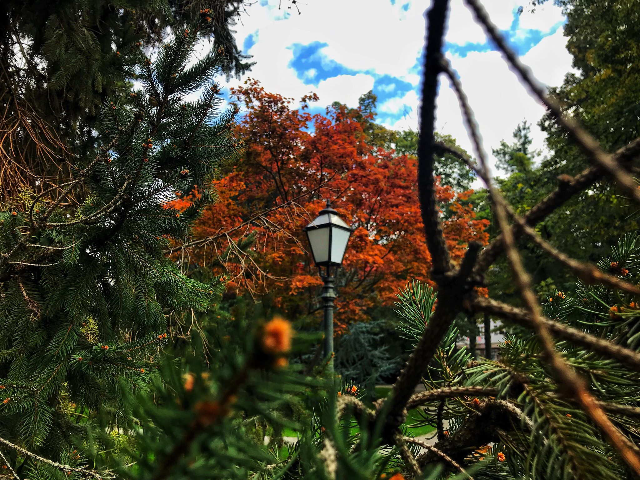 Jesen u varaždinskom parku