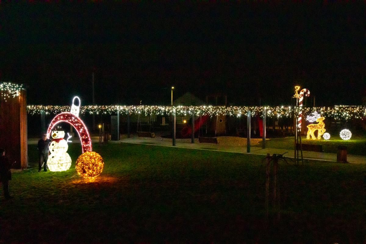 Image 5535200 (auto)