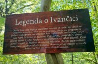 030525_defibrilator_10