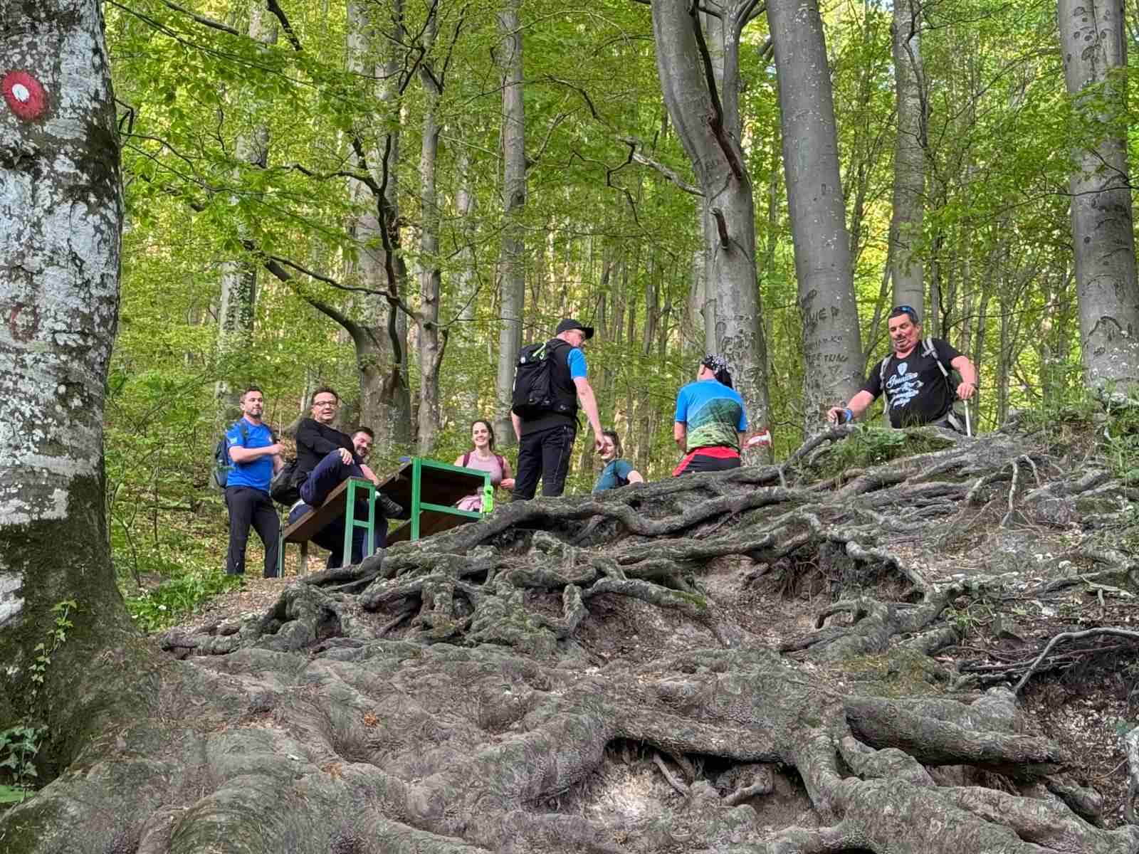 030525_defibrilator_7