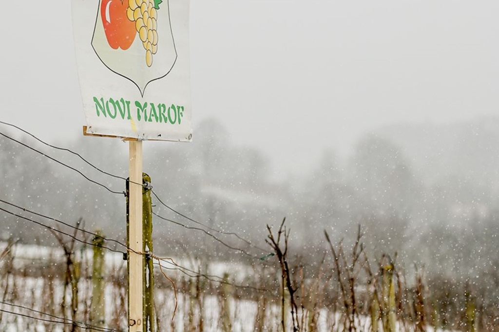 Vincekovo u Brezničkom Humu